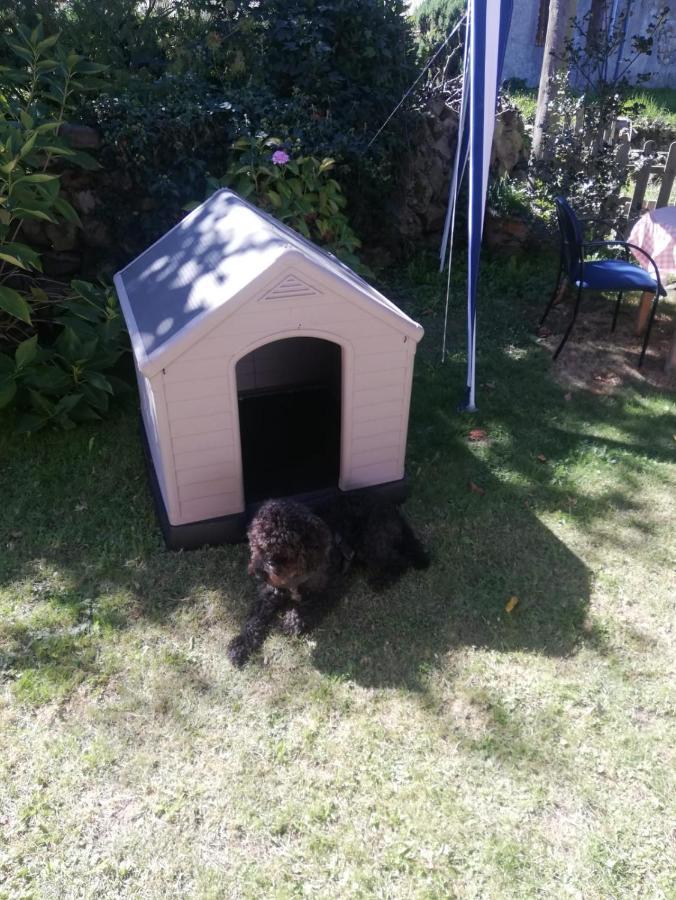 Acogedor Chalet De Tres Habitaciones En El Valle De Cabuerniga, Ideal Familias Grupos Y Mascotas Somos Pet Friendly, Estancia Minima Dos Noches Lamina 外观 照片